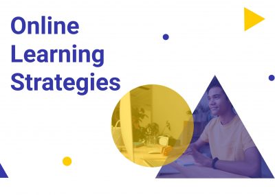 Online Learning Strategies