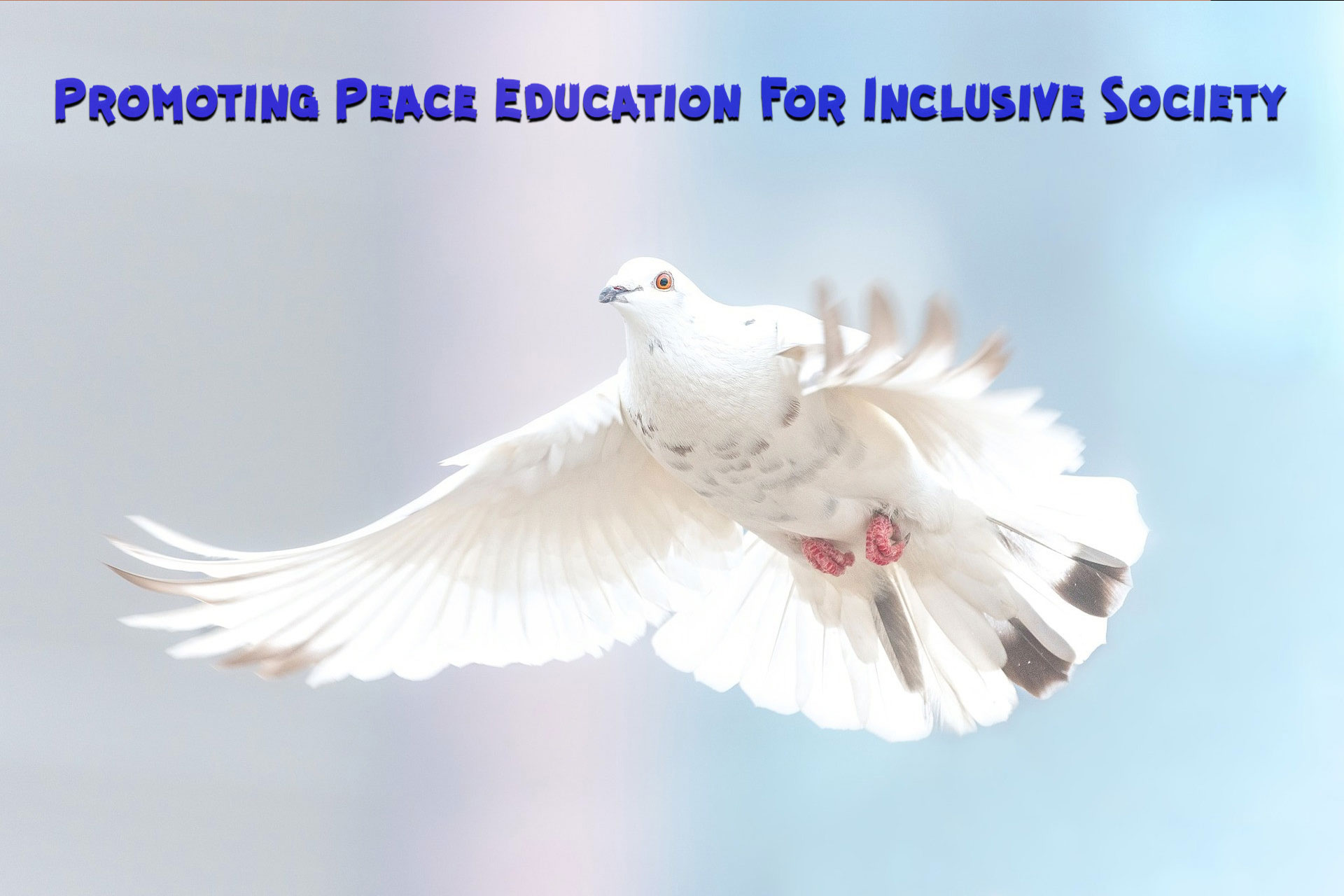 promoting-peace-education