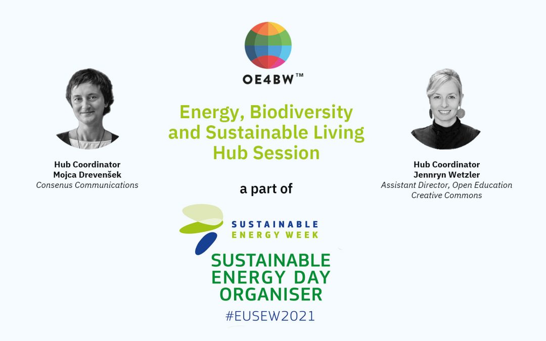 Eduscope’s Energy Hub’s session is part of the EUSEW2021 – EU Sustainable Energy Week!