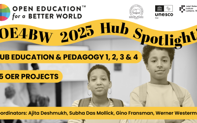 Hub Spotlight: Hub Education and Pedagogy